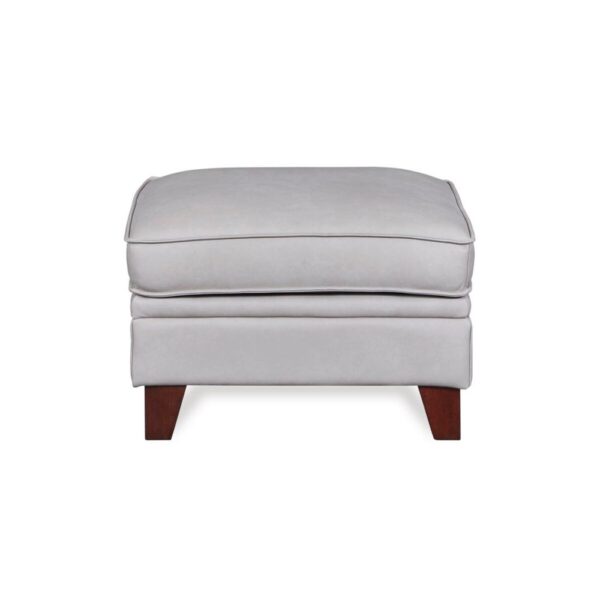 Stanton Ottoman