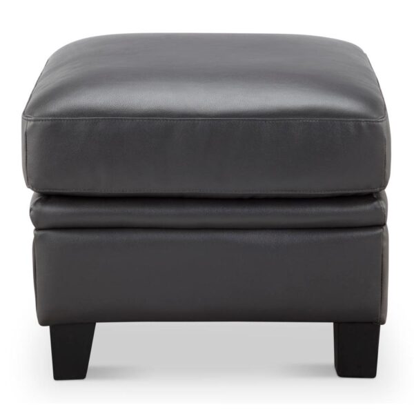 Fletcher Ottoman