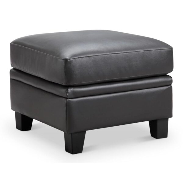 Fletcher Ottoman - Image 2